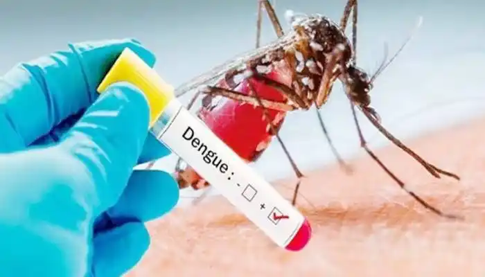 Alerta regional por el dengue: en América Latina mata más que el coronavirus chino