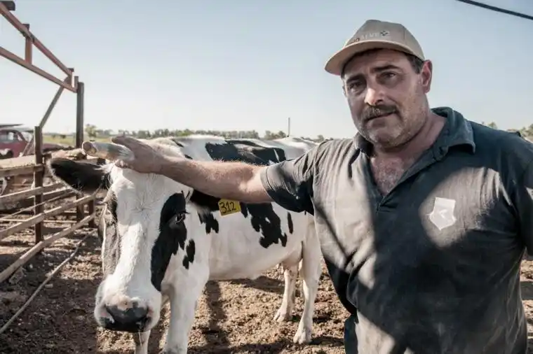 Otorgan compensaciones por 320 millones de pesos a los tamberos