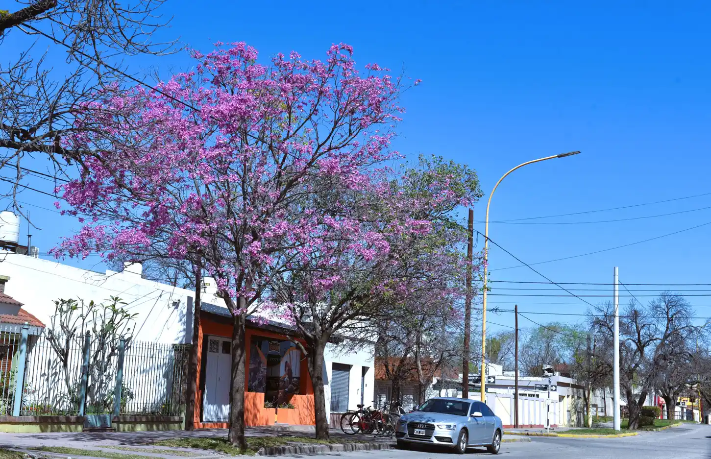 La primavera se empieza a sentir en San Francisco