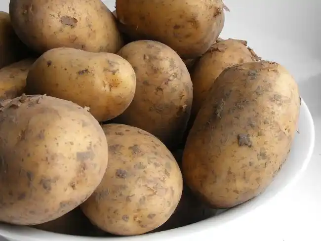 Leche de papa: la nueva alternativa láctea que empieza a crecer