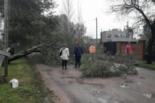 Dos muertos y serios inconvenientes por el temporal en el interior bonaerense