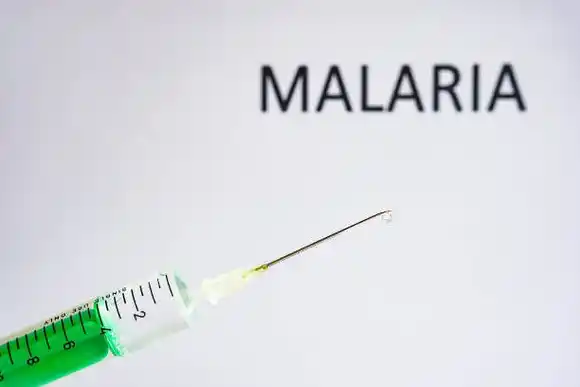 ¡ALERTA! Brote de paludismo en La Guaira y Maduro no hace nada