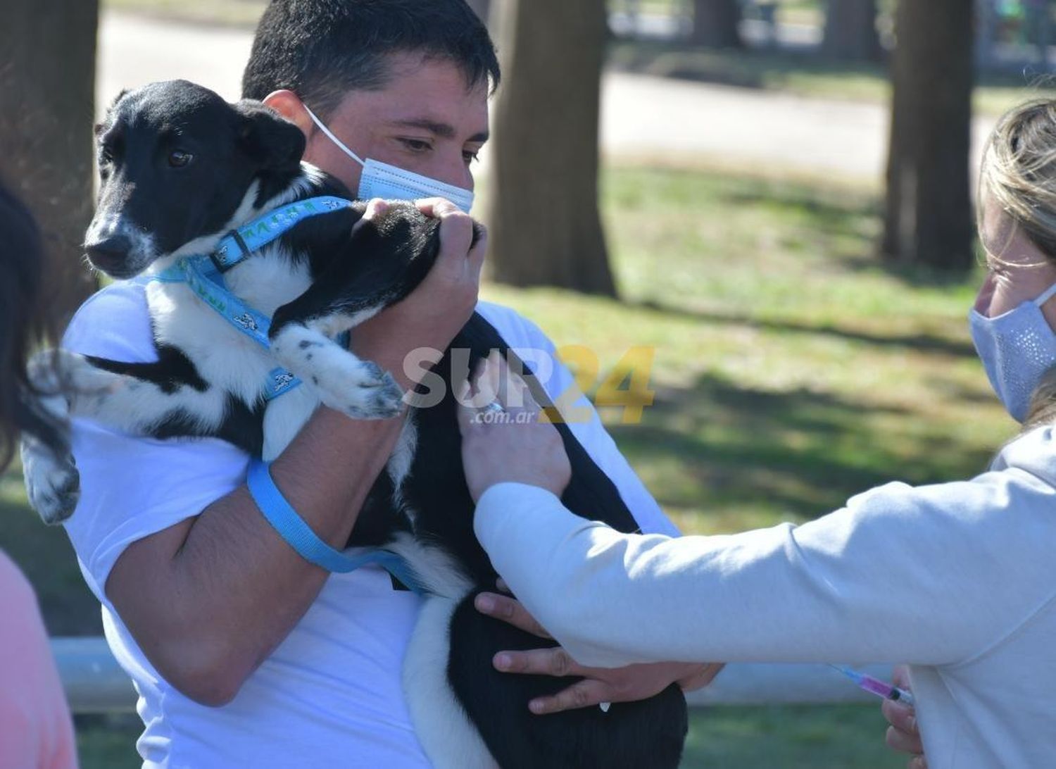 Jornadas de castración y vacunación del programa “Orejas Verdes” por los barrios