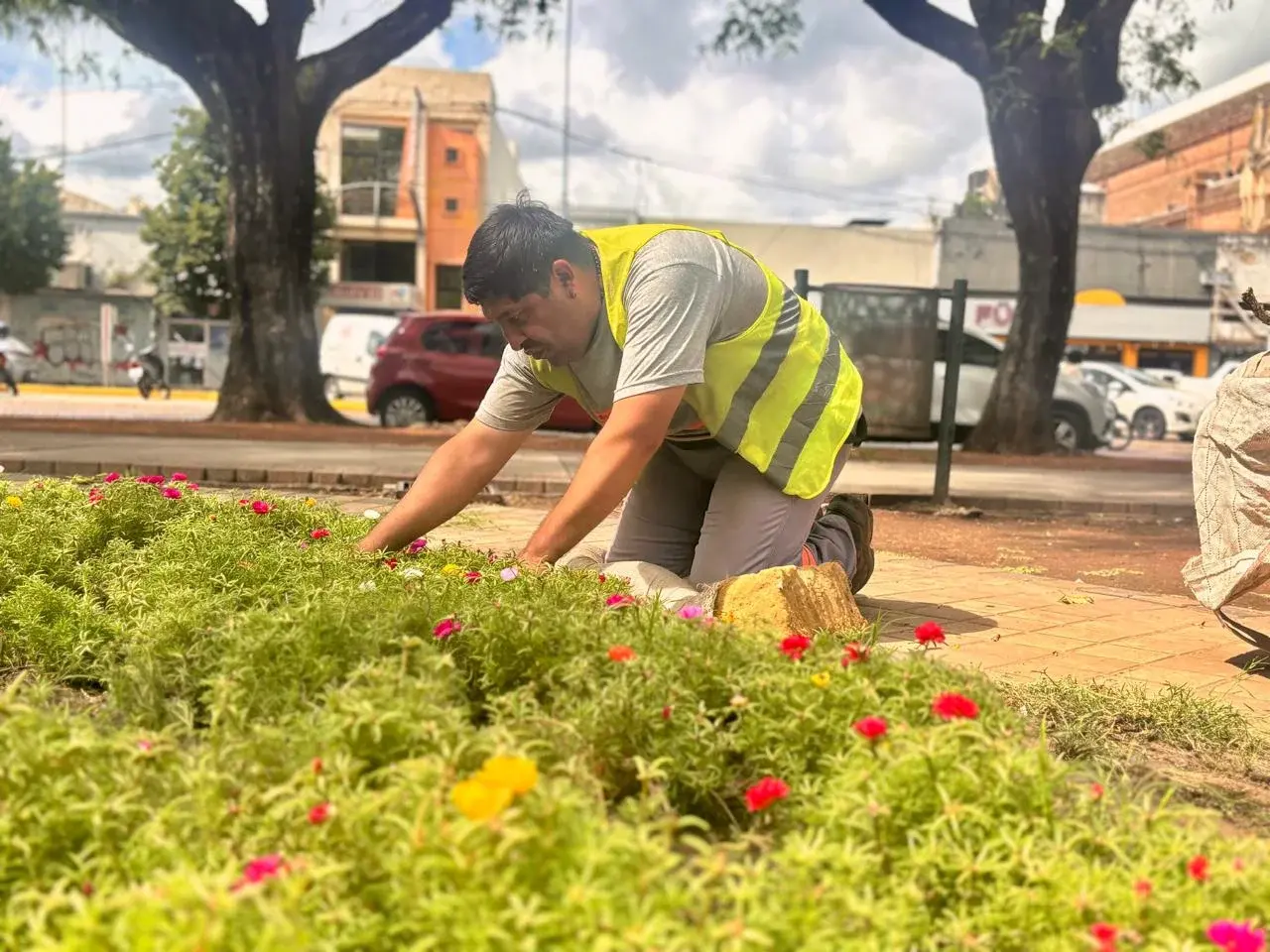 La ciudad sumó más superficies permeables y especies nativas en sus espacios públicos