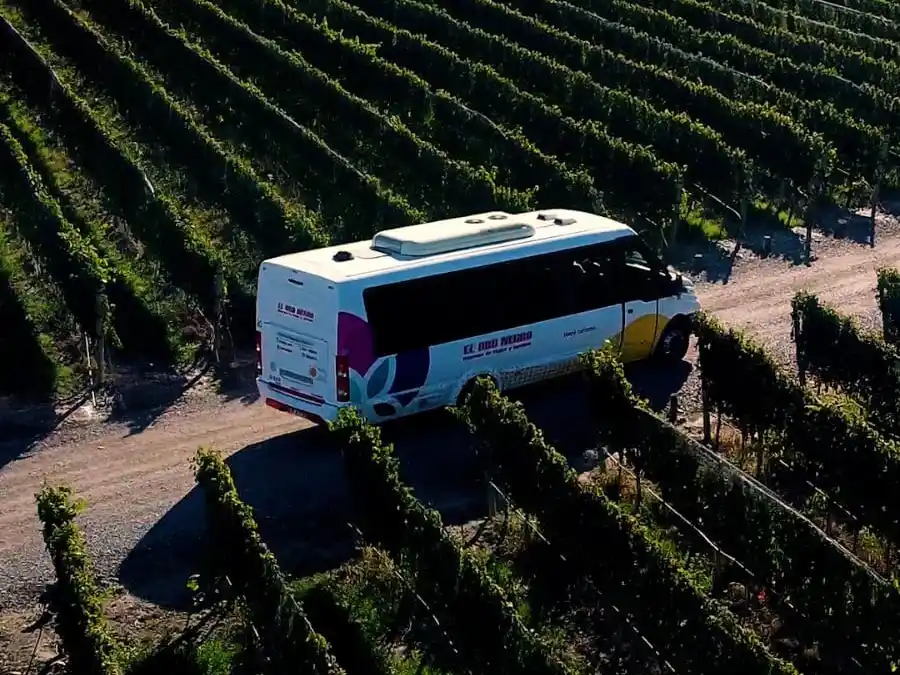 Quien dijo que visitar las bodegas era caro?