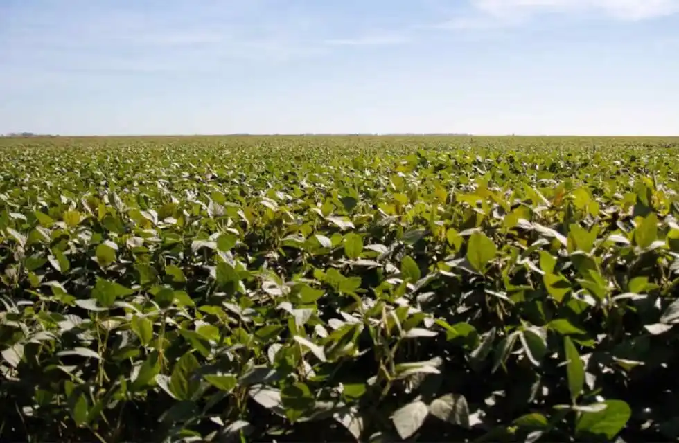 La Sociedad Rural de Tandil reaccionó ante la baja de retenciones