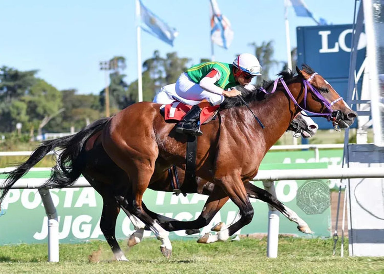 Miércoles 6: Acividad Hipódromo de San Isidro