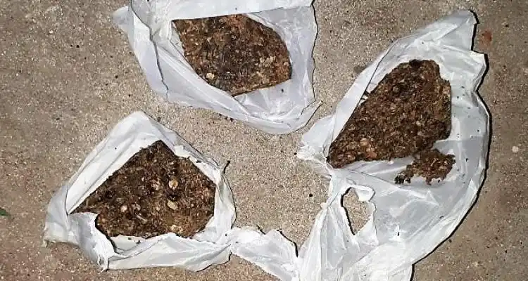 Detuvieron infraganti a un hombre que vendía marihuana en la calle y le allanaron su casa