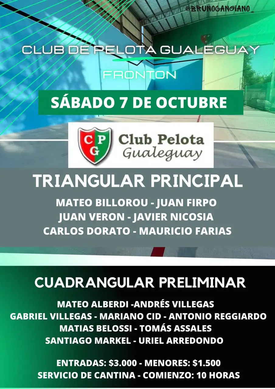 pelota