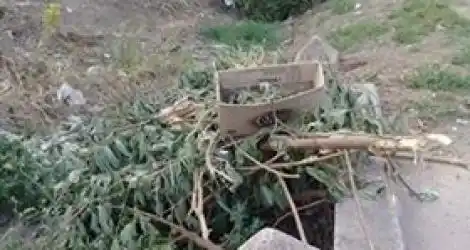 Se tapan los desagües.