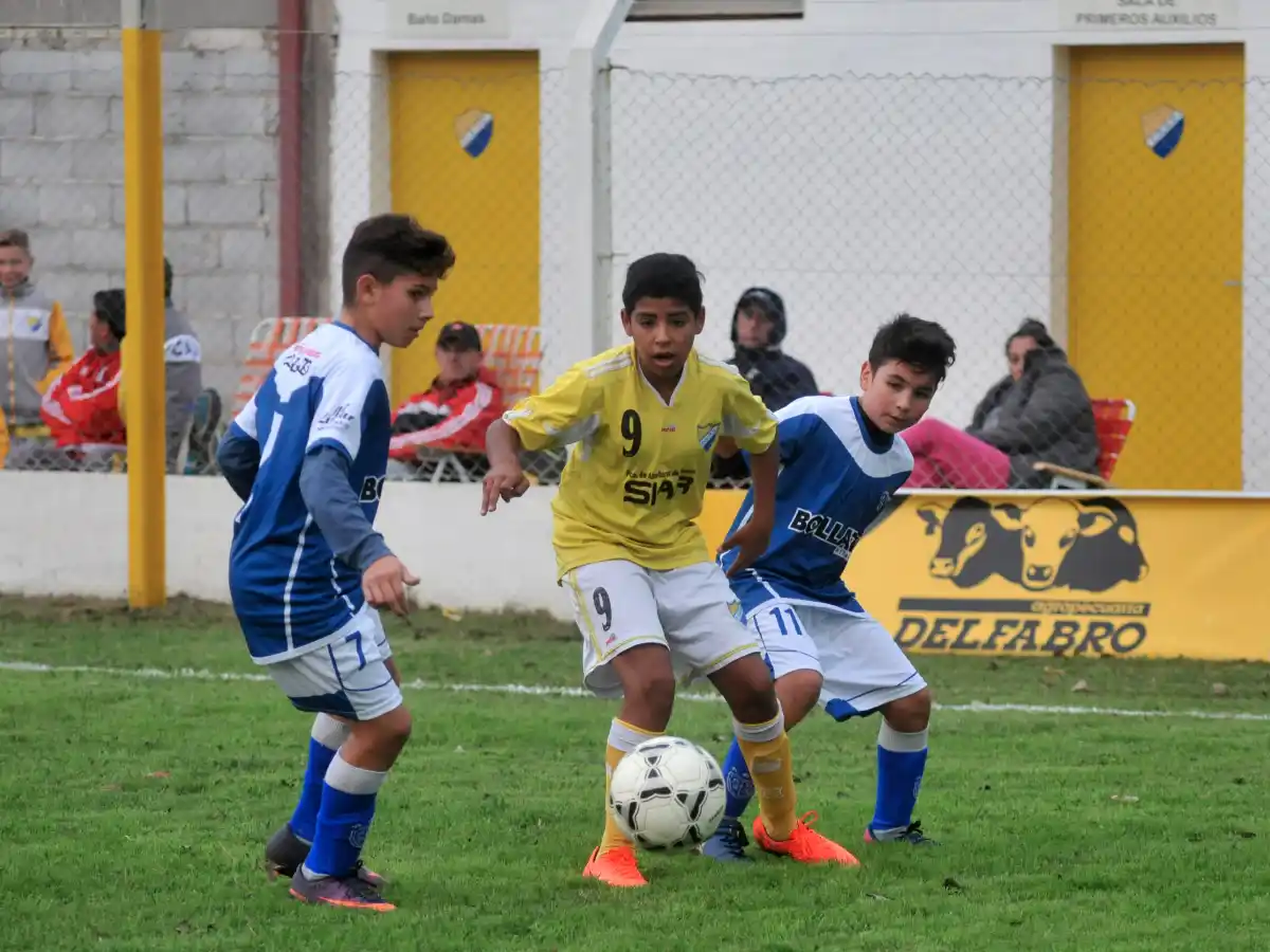 Puede haber más campeones