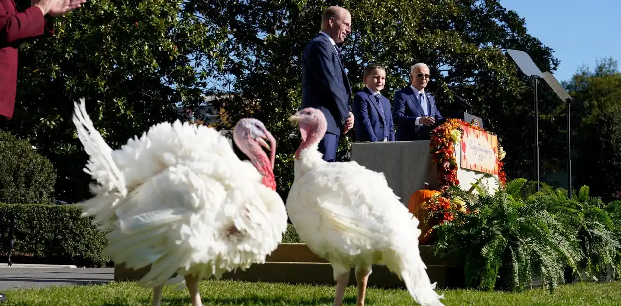 Peach y Blossom, los dos pavos perdonados en el Jardín Sur de la Casa Blanca.