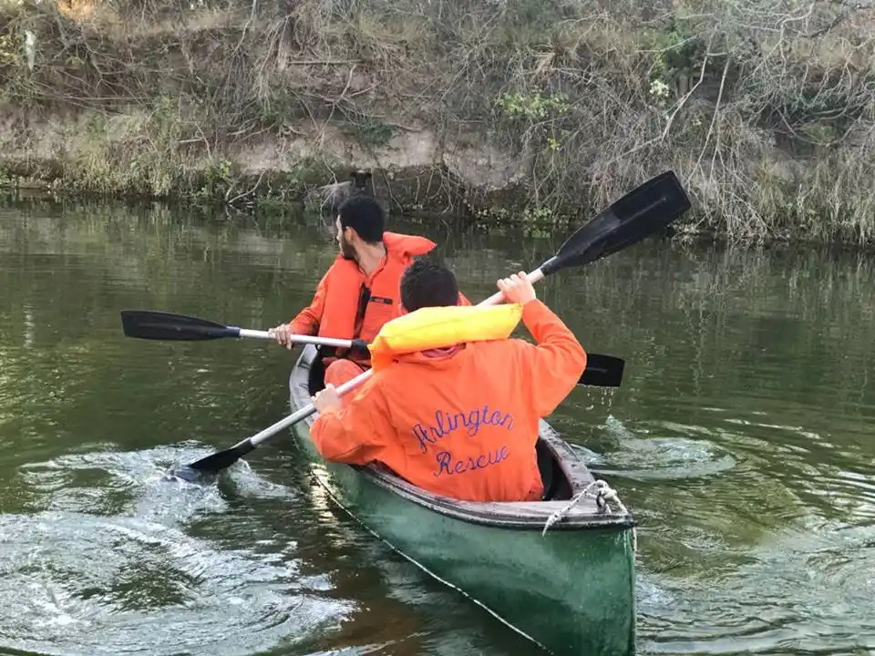 Bomberos salvaron a una oveja que cayó al Arroyo Gómez