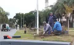 Colocan nuevas luminarias en distintos puntos de la ciudad
