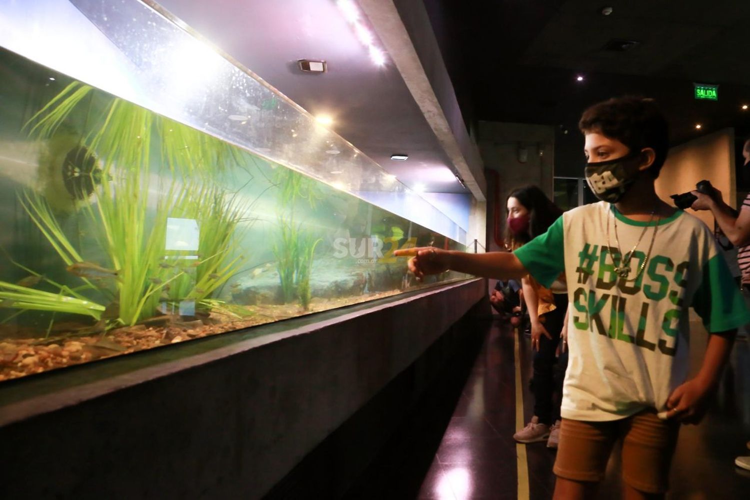 El Acuario del Río Paraná extiende sus días y horarios de visitas