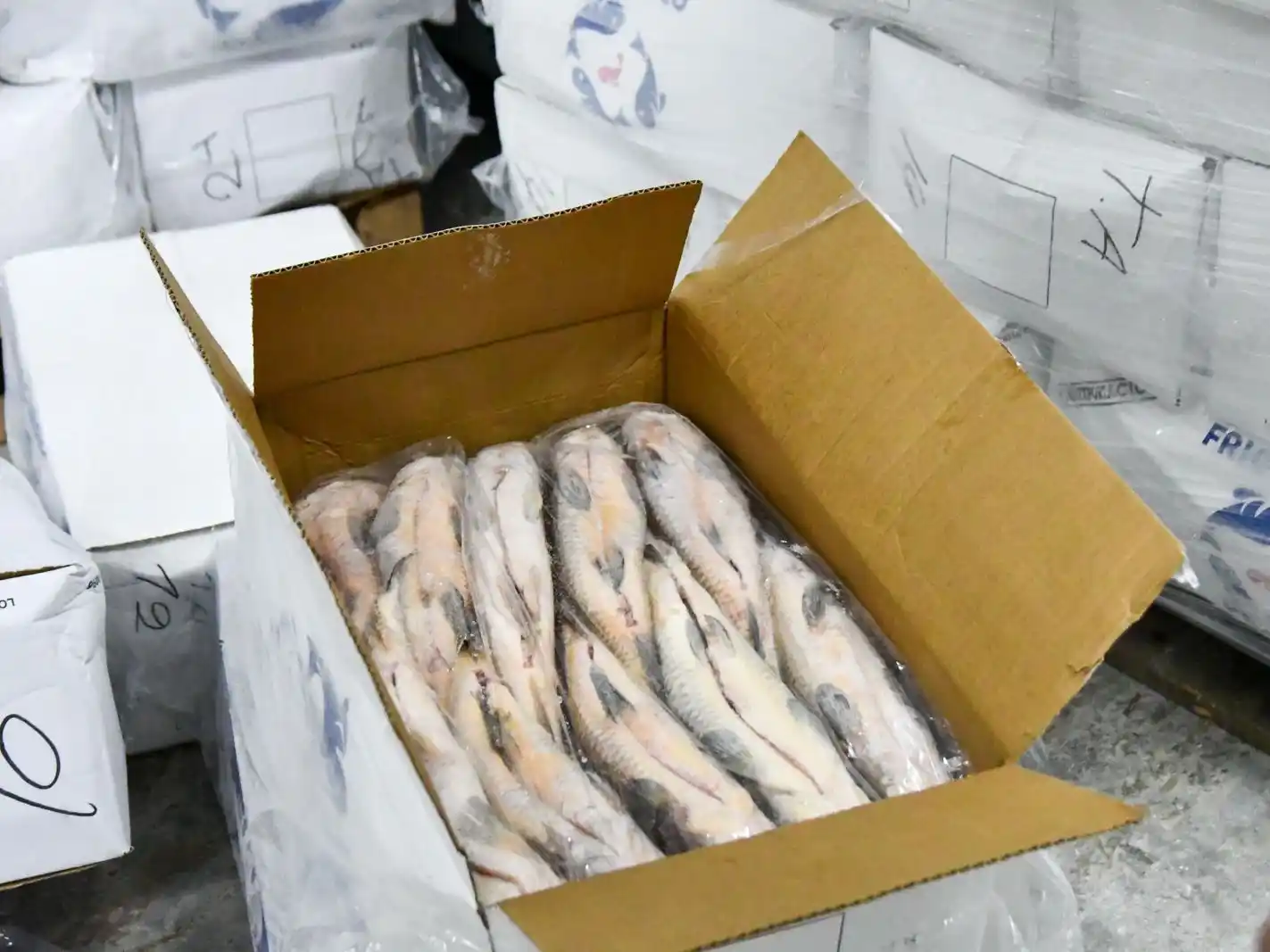 La provincia suspenderá durante un año la exportación de pescado.