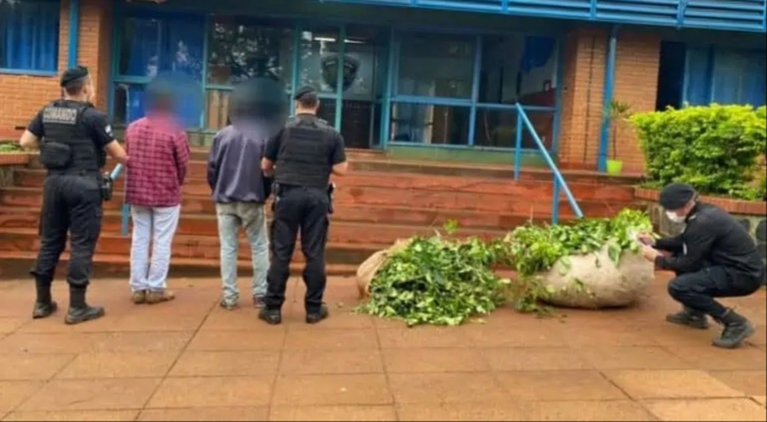 Fueron detenidos por robar yerba mate