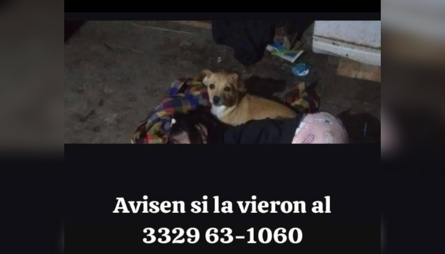 Buscan a Pinki