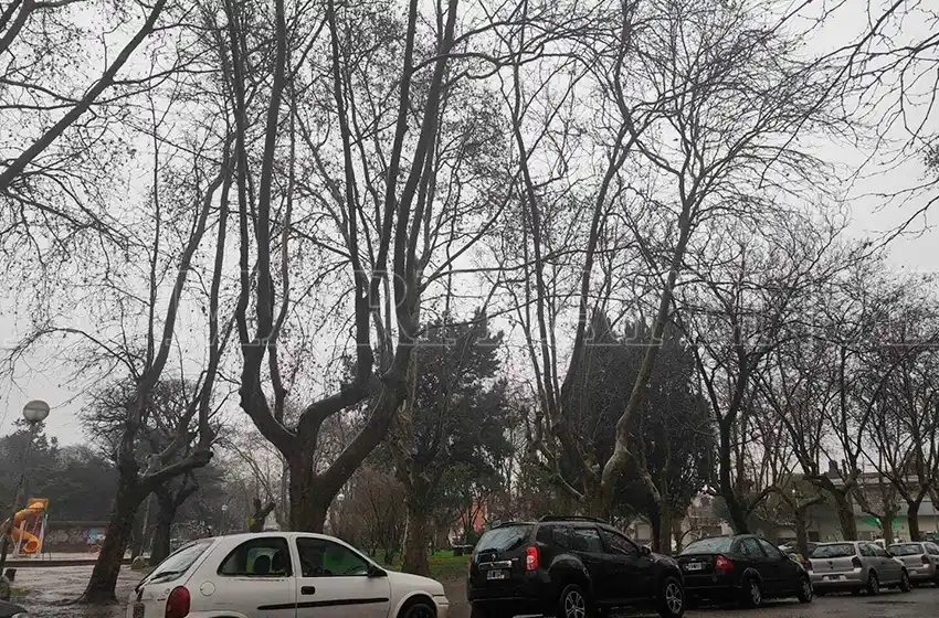 Mar del Plata con lluvias aisladas y viento del sur