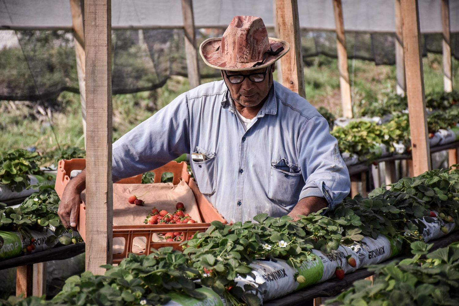 Escobar: Productores locales recibieron ayuda del Ministerio de Economía por los daños causados durante el temporal de agosto