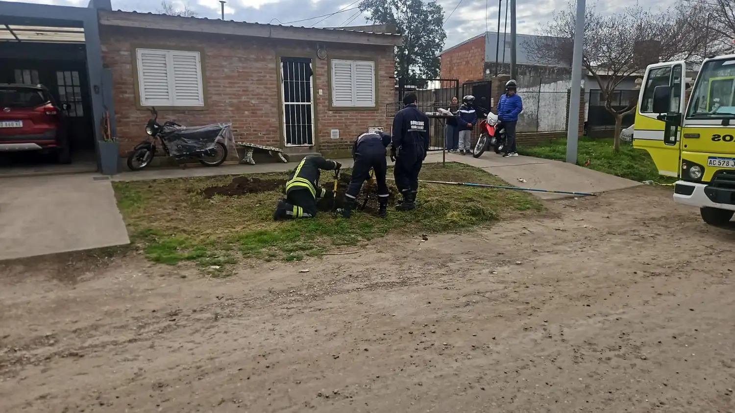rescate gato