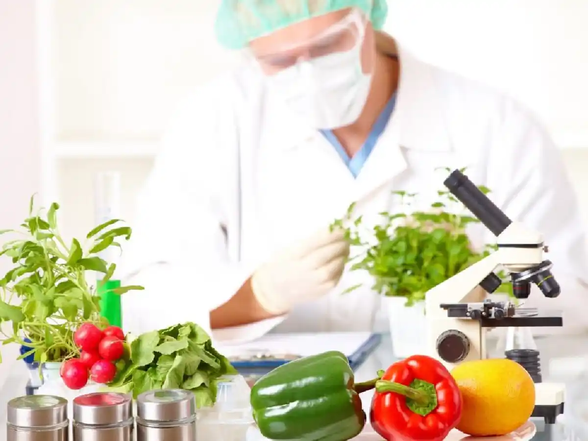 UTN San Francisco será sede del PreCongreso Internacional de Ciencia y Tecnología de los Alimentos 