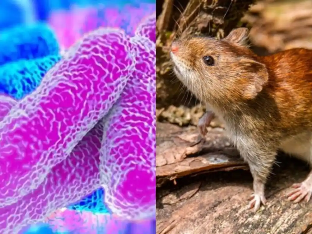 Se recuerdan a la población los cuidados y la importancia de la consulta precoz.