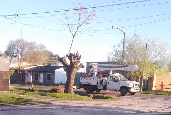 Camión de materiales enganchó cables del tendido eléctrico: "Nos quedamos sin luz"