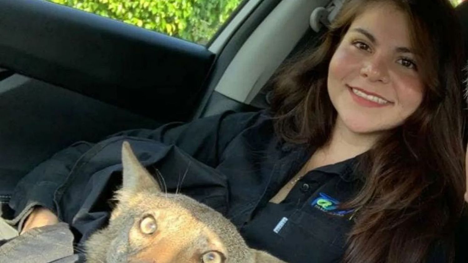 Pensó que rescataba a un perro herido, pero resultó ser un coyote