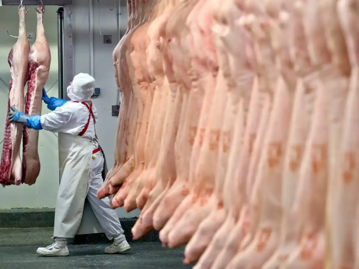 Desde la Federación de Industrias Frigoríficas aseguran que no habrá más aumentos de carne