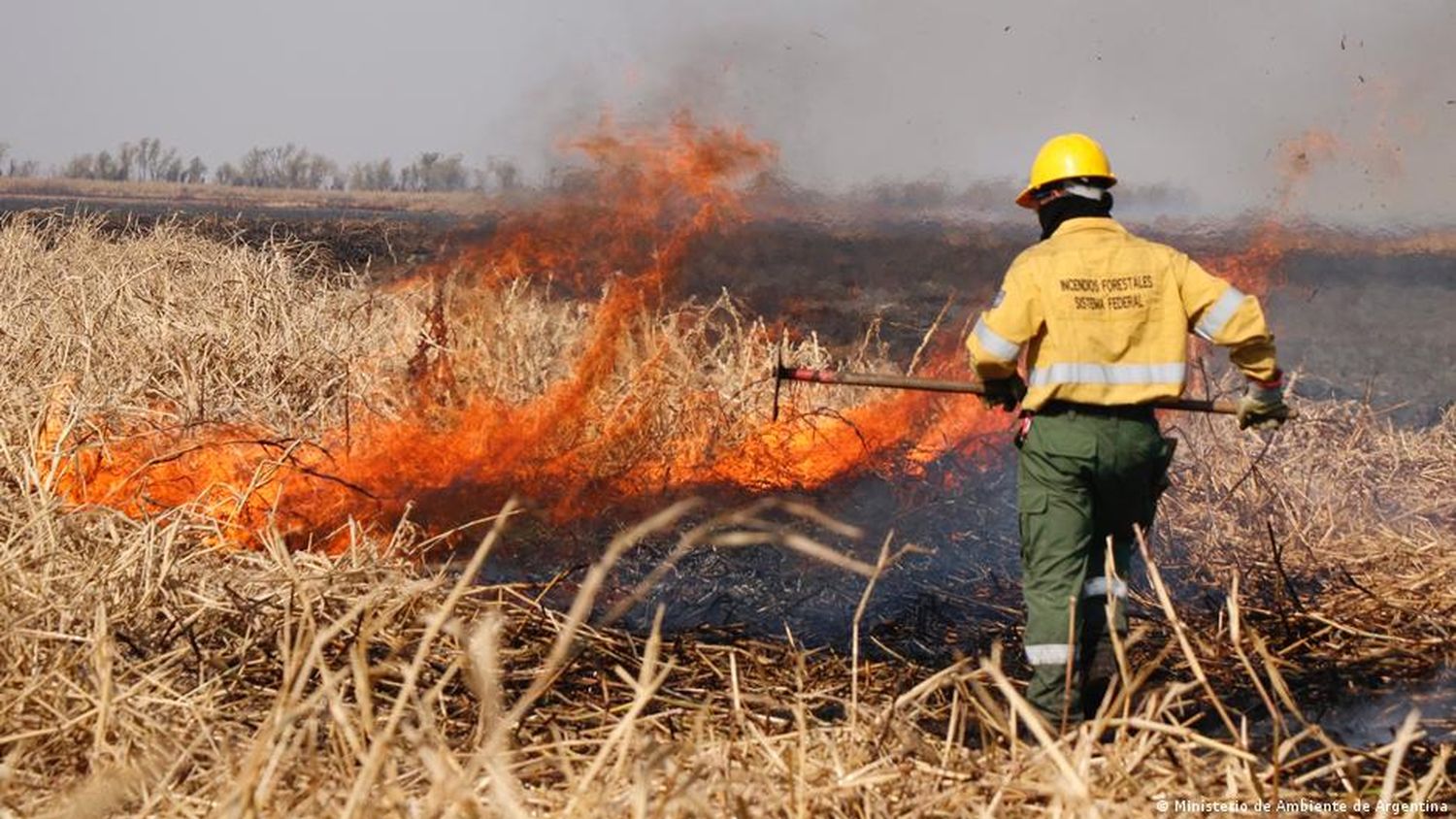 Entre Ríos continúa con focos de incendios activos