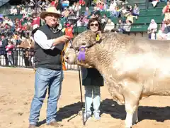 Un puente entre el campo y la ciudad: la idea del gualeyo que gana terreno