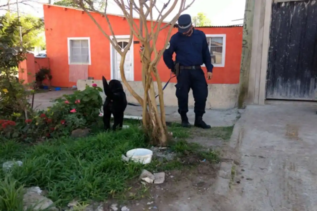 Más de doce allanamientos por narcotráfico en Concordia 