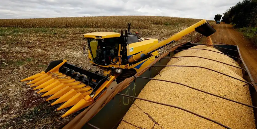 El maíz lidera el repunte: el agro podría aportar más de US$ 35.000 millones en 2026