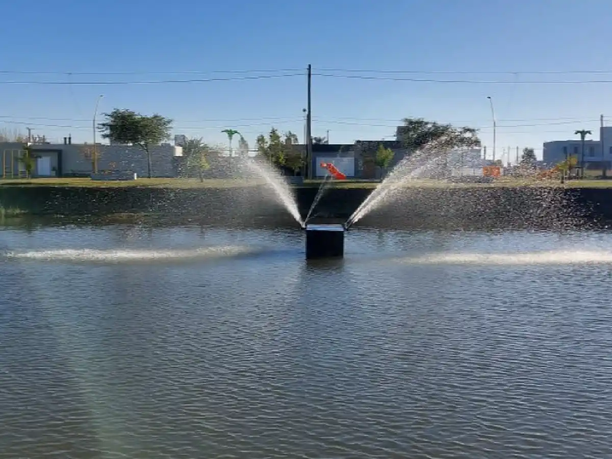 Efectos de cascada y nuevas plazas en Los Palmares 4