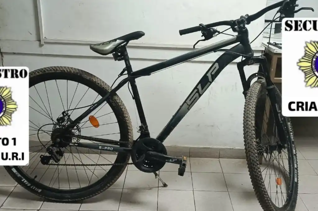 La bicicleta robada fue recuperada poco después.