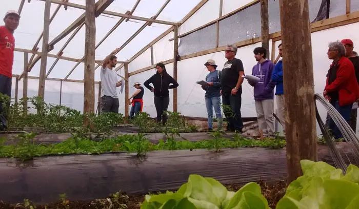 De la huerta familiar a la mesa