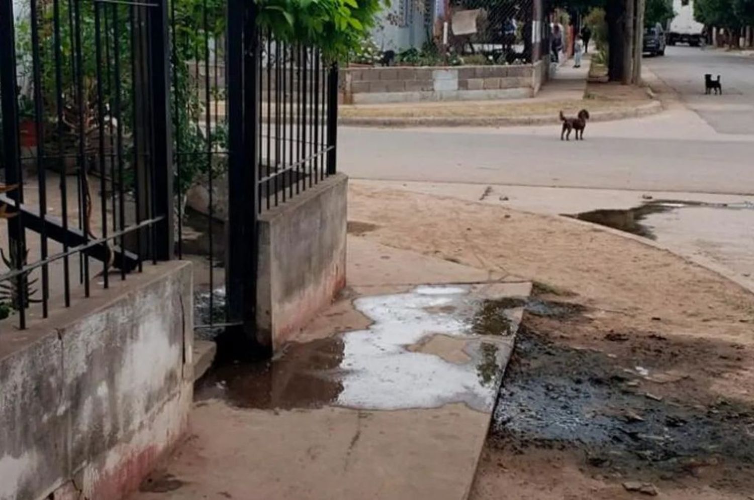 Femicidio en Córdoba: un hombre mató a puñaladas en plena calle a su ex pareja