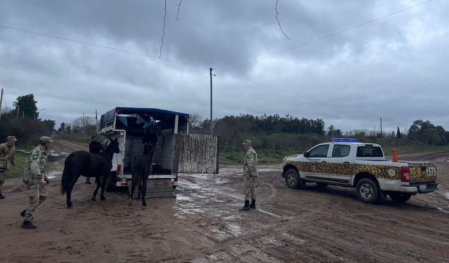 Secuestraron 23 caballos que estaban sueltos en diferentes zonas de la ciudad