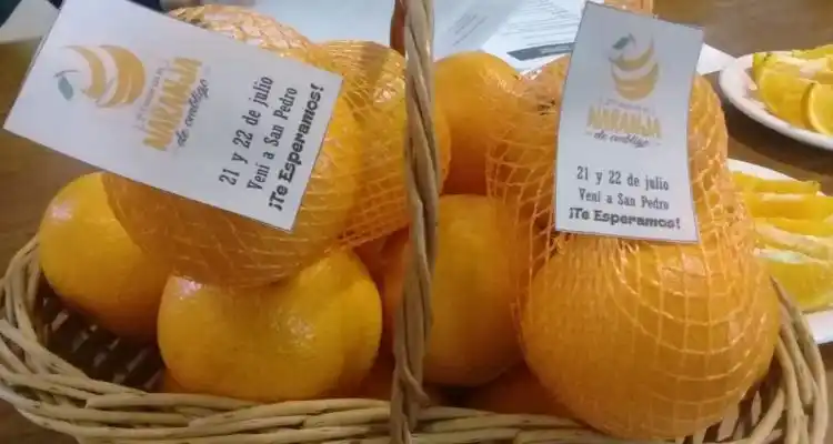 Presentaron la Fiesta de la Naranja de Ombligo