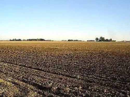 Una zona rural al sur de Santa Fe podría haber sido usada para que una avioneta narco descienda