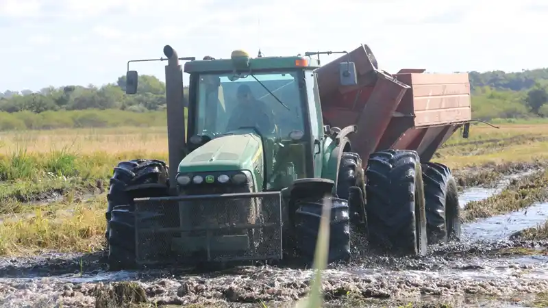 Preocupación en el sector arrocero entrerriano: “Con los números actuales trabajamos a pérdida”, advierte Challio