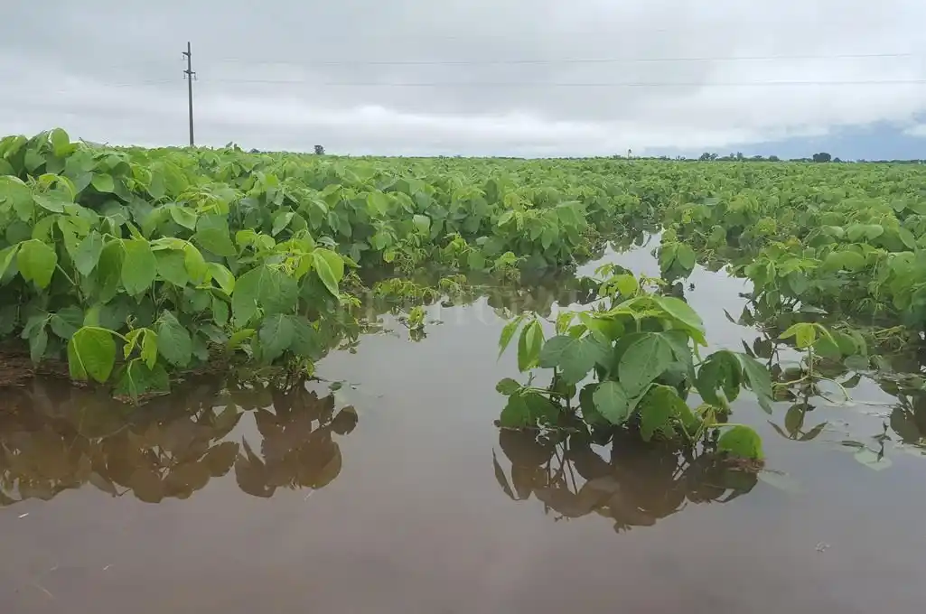Inundaciones: miles de millones de dólares en pérdidas