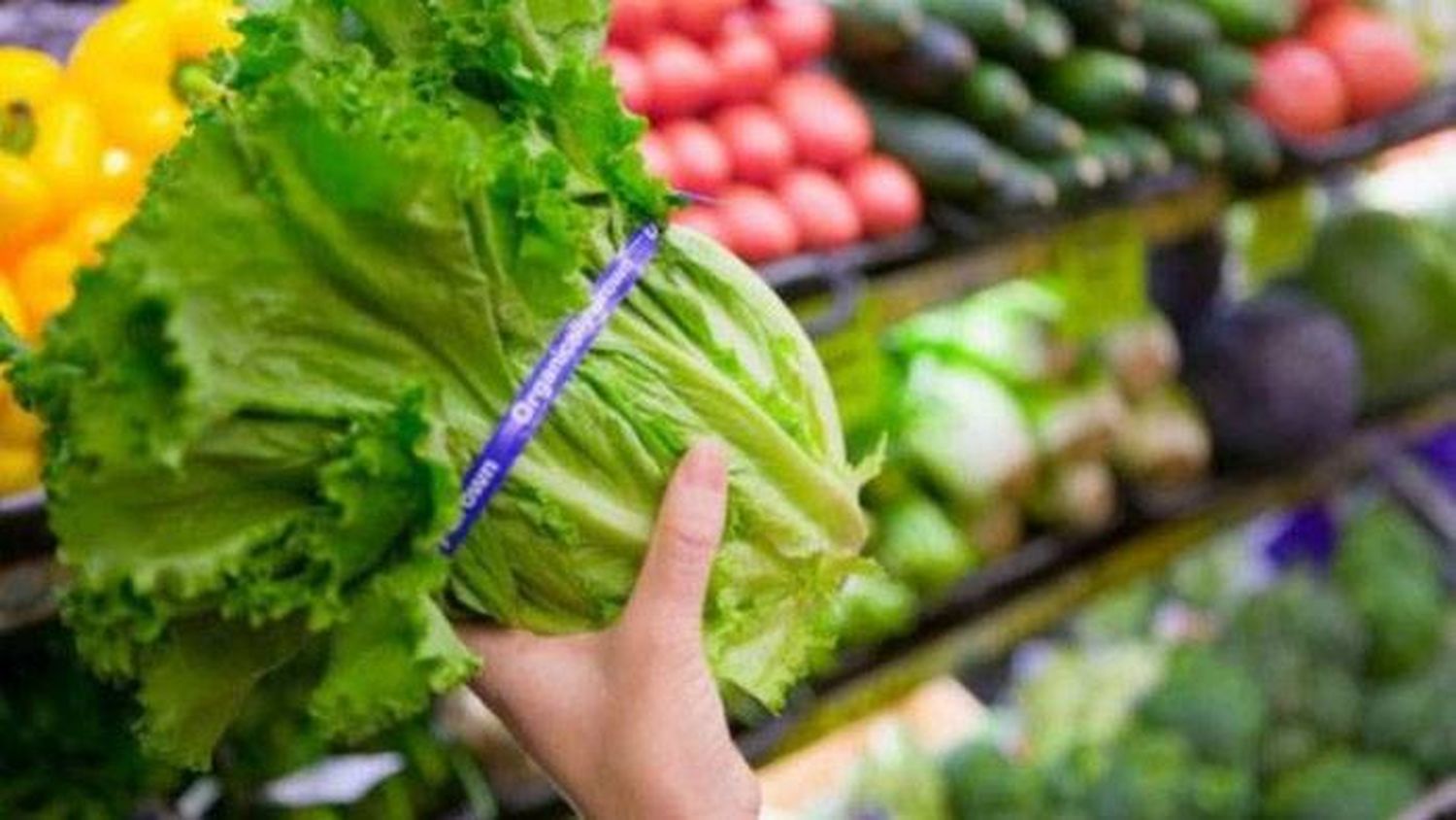 Productos del agro: la brecha de precios subió 2 por ciento en junio, según CAME