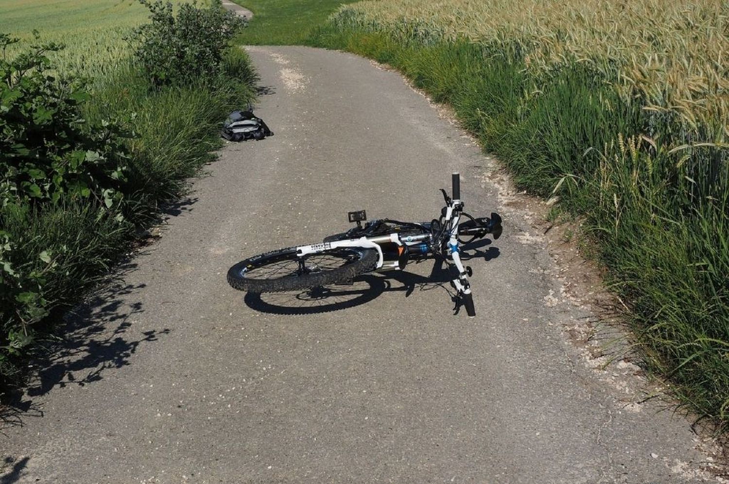 Un ciclista se tragó una abeja, lo picó en la garganta y murió