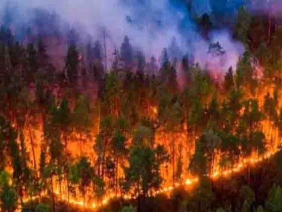 Chile enfrenta 22 incendios forestales esta temporada de verano