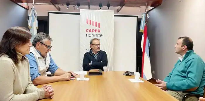 El Colegio de Arquitectos participará  del plan de ordenamiento urbano  de Puerto Yeruá