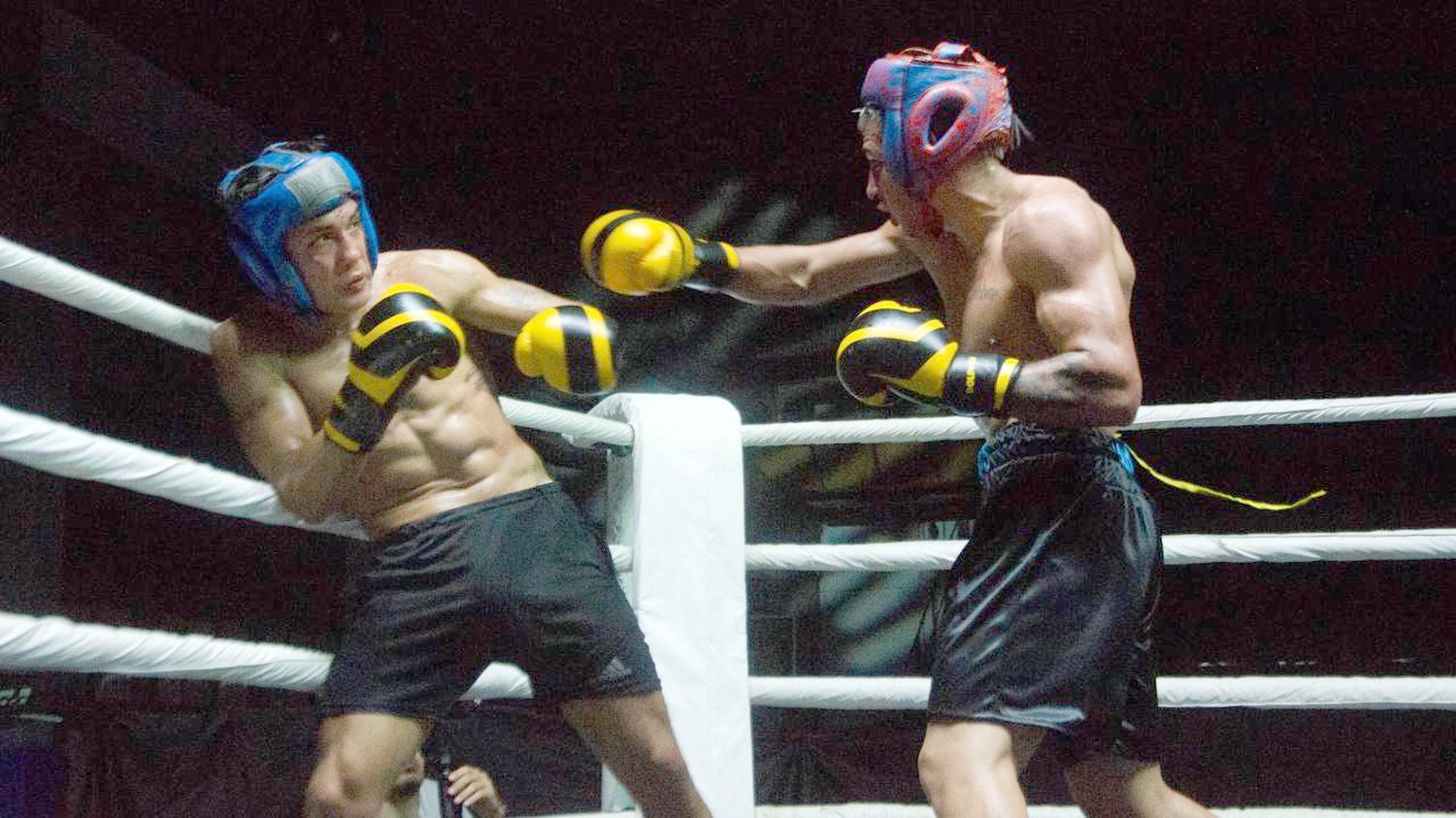 Boxeo: Los profesionales cierran la temporada