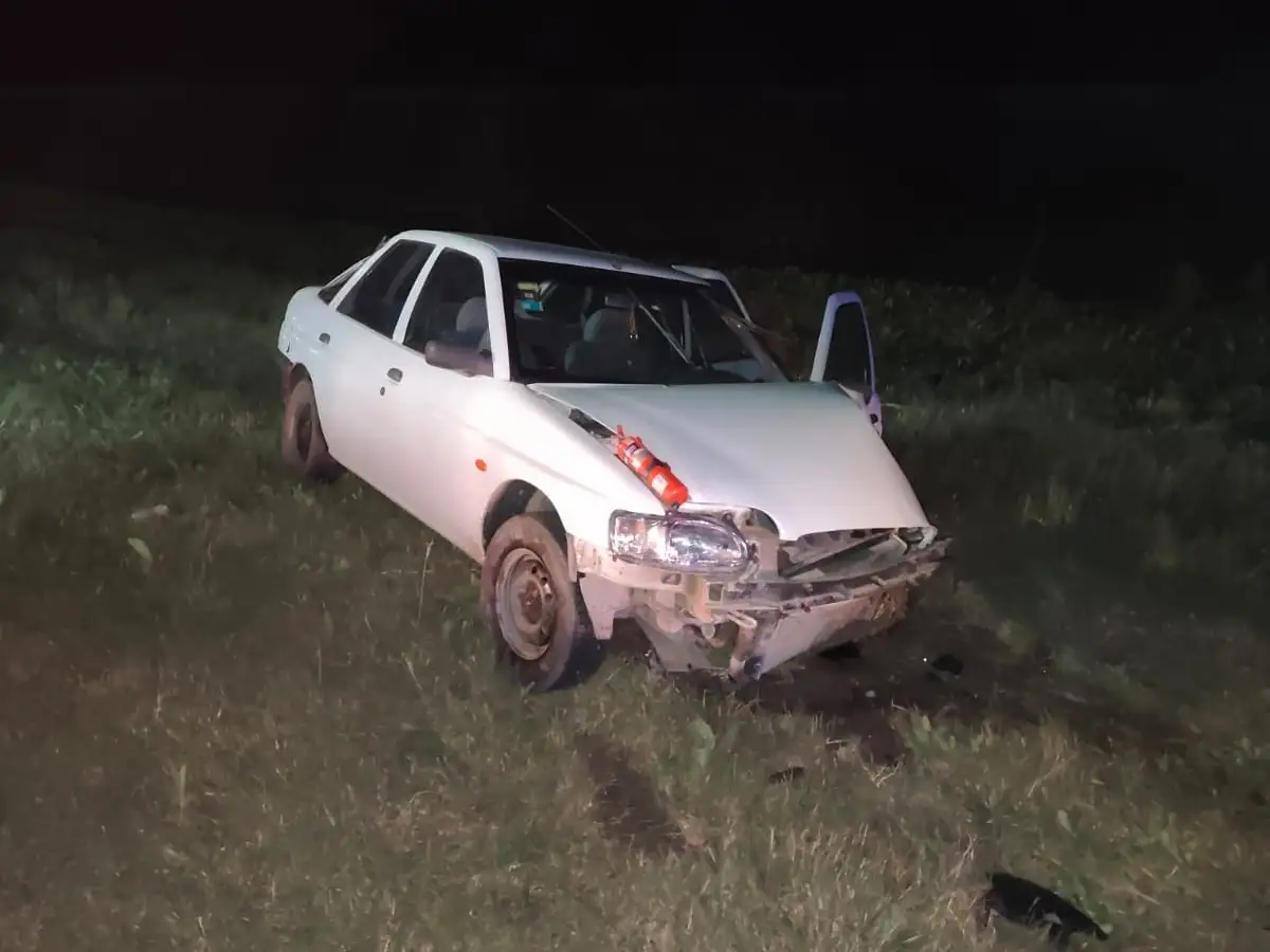 Un carpincho provocó un fuerte accidente en Ruta 12: cuatro personas hospitalizadas