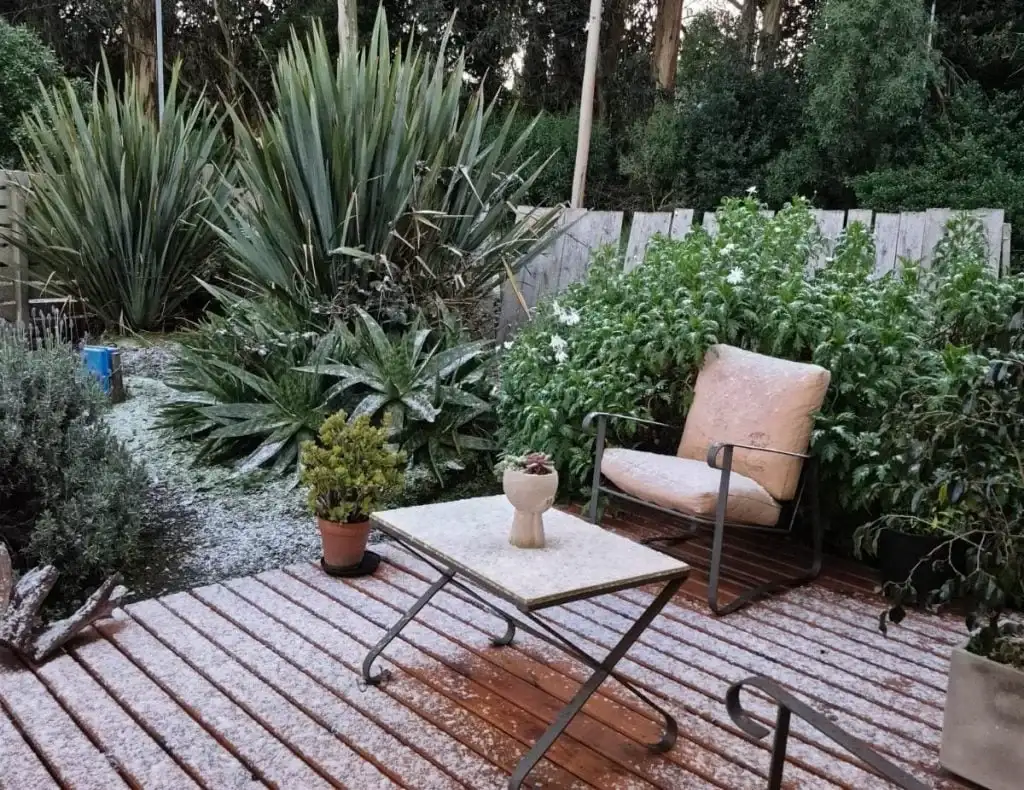 nieve mr del plata